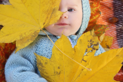 малыш и желтые осенние листья